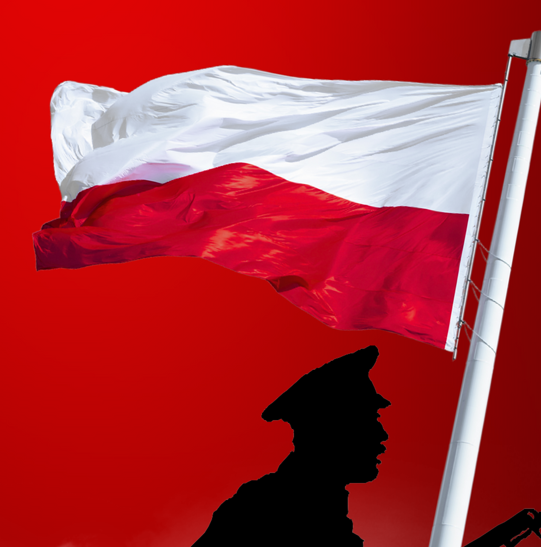 Obchody 85. rocznicy Bitwy pod Narwikiem