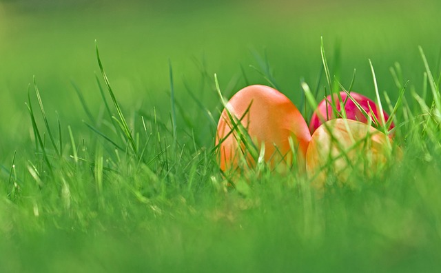 Życzenia wielkanocne